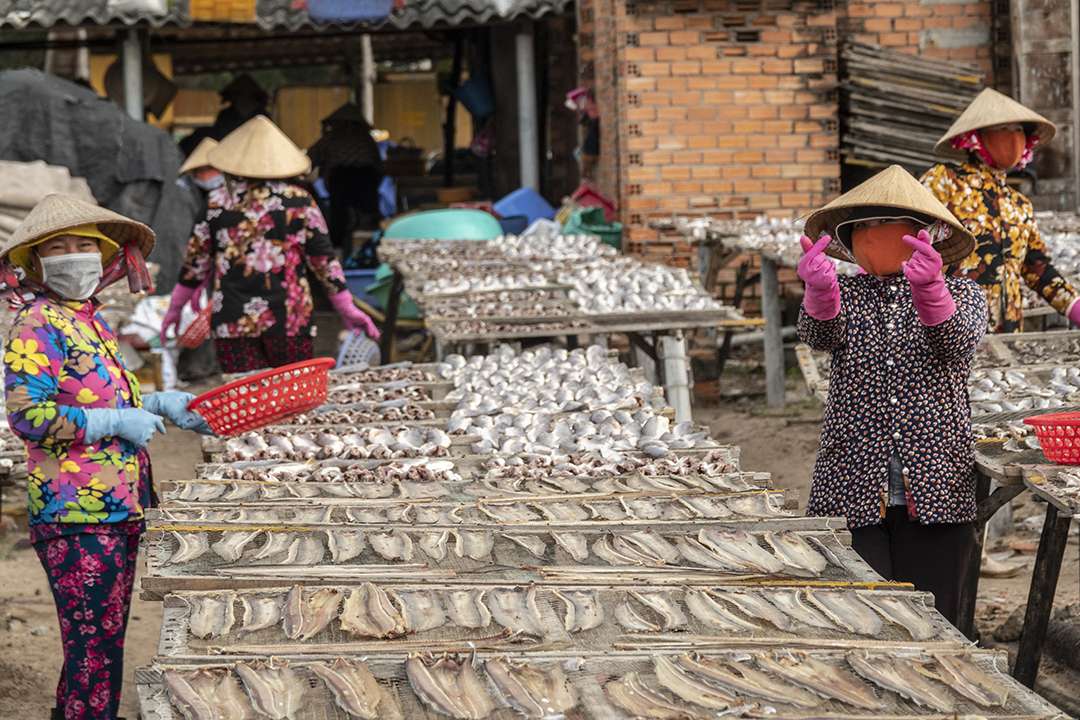 Vietnam Vietnam
